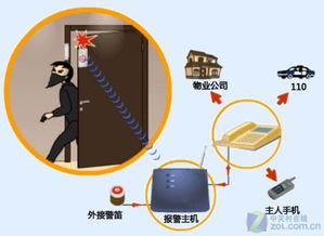 2010年家用監(jiān)控?cái)z像頭與網(wǎng)絡(luò)設(shè)備零售市場(chǎng)分析